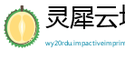 灵犀云坊